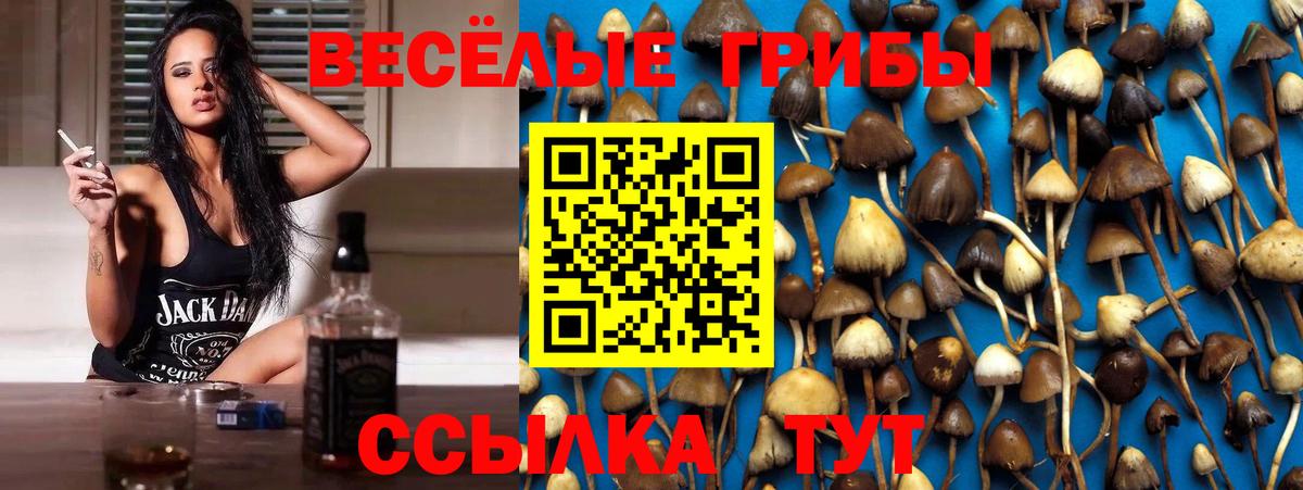 Орёл  Галлюциногенные грибы Magic Shrooms  Вход с VPN 