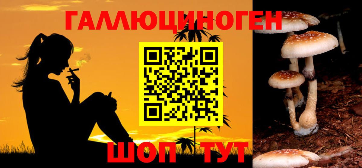 Псилоцибиновые грибы прущие грибы Орёл